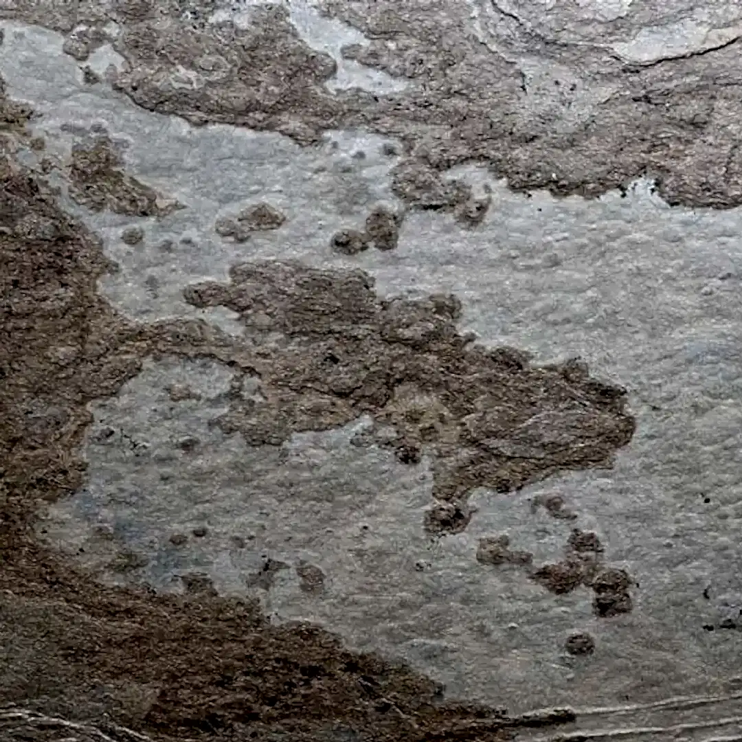 Flexi Stone Autum Cream Taş Desenli Levha